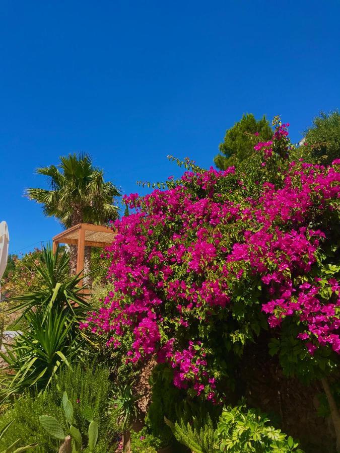 Luxus Tholos Bay Exterior foto